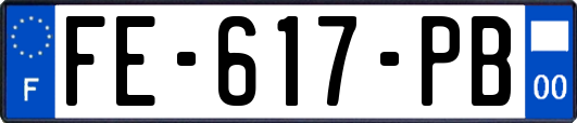 FE-617-PB