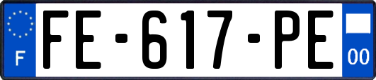 FE-617-PE