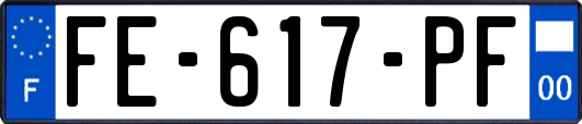 FE-617-PF
