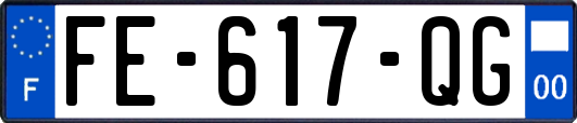 FE-617-QG