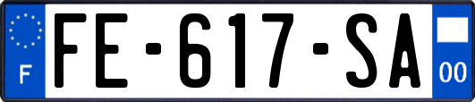 FE-617-SA