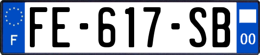 FE-617-SB