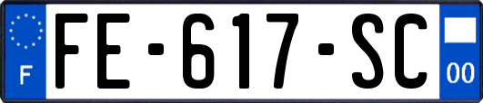 FE-617-SC
