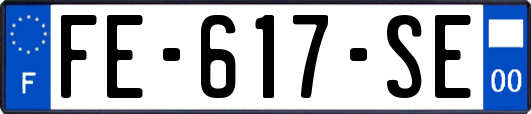 FE-617-SE