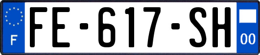 FE-617-SH