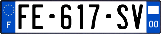 FE-617-SV