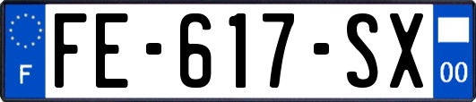 FE-617-SX