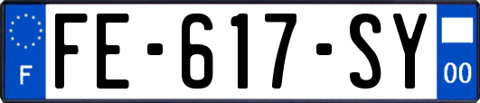FE-617-SY