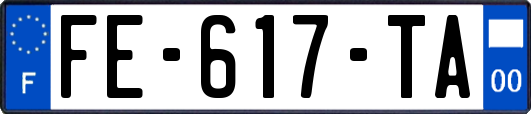 FE-617-TA