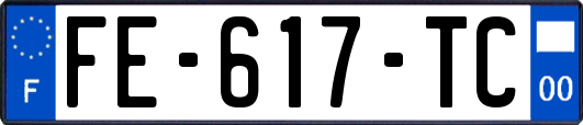 FE-617-TC