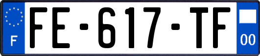 FE-617-TF