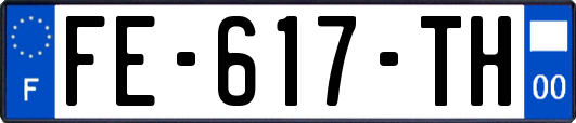 FE-617-TH