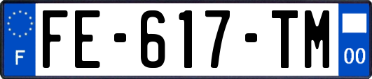 FE-617-TM