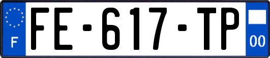 FE-617-TP