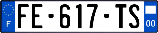 FE-617-TS