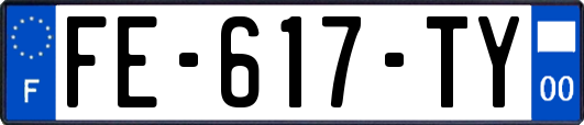 FE-617-TY