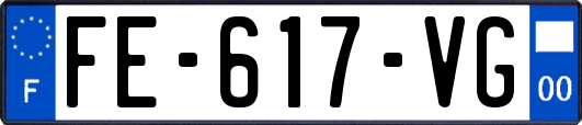 FE-617-VG