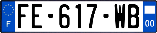 FE-617-WB