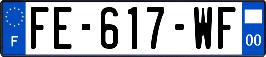 FE-617-WF