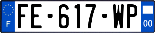 FE-617-WP