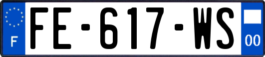 FE-617-WS