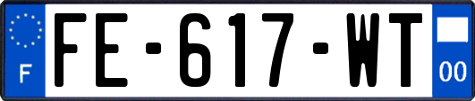 FE-617-WT
