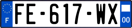 FE-617-WX