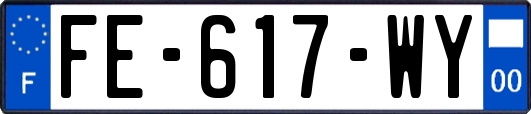 FE-617-WY