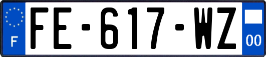 FE-617-WZ
