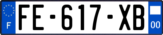 FE-617-XB