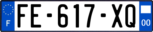 FE-617-XQ