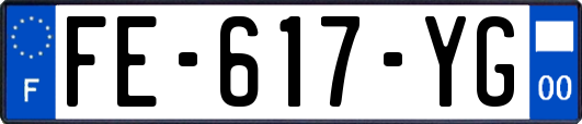 FE-617-YG