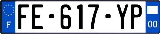 FE-617-YP