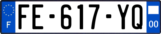 FE-617-YQ