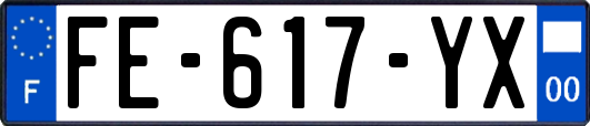 FE-617-YX