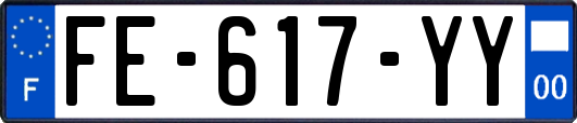 FE-617-YY