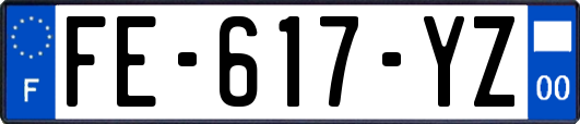 FE-617-YZ