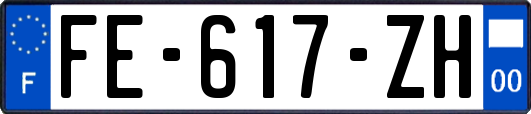 FE-617-ZH