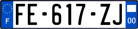 FE-617-ZJ