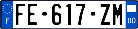 FE-617-ZM