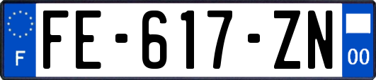 FE-617-ZN