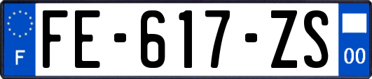 FE-617-ZS