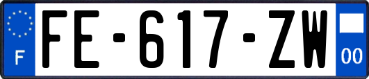 FE-617-ZW
