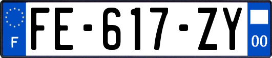 FE-617-ZY