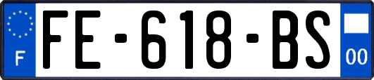 FE-618-BS