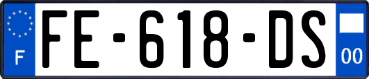 FE-618-DS