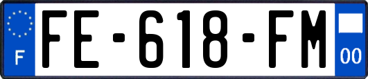 FE-618-FM