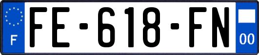 FE-618-FN