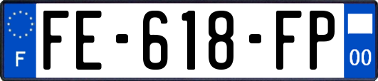 FE-618-FP