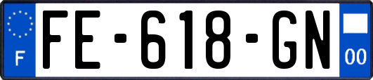 FE-618-GN